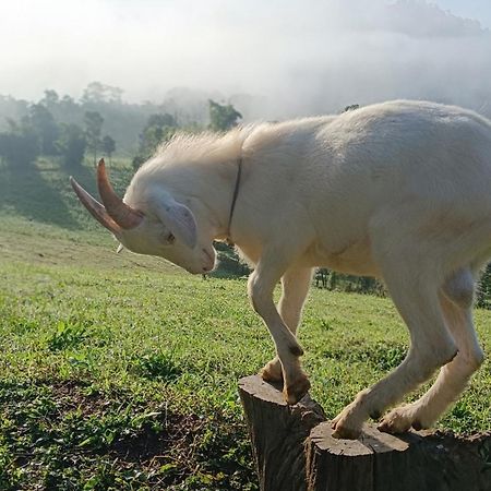 ไร่นิธิสุนทร Nithisoonthon Farmstay Mae Hong Son Exteriér fotografie