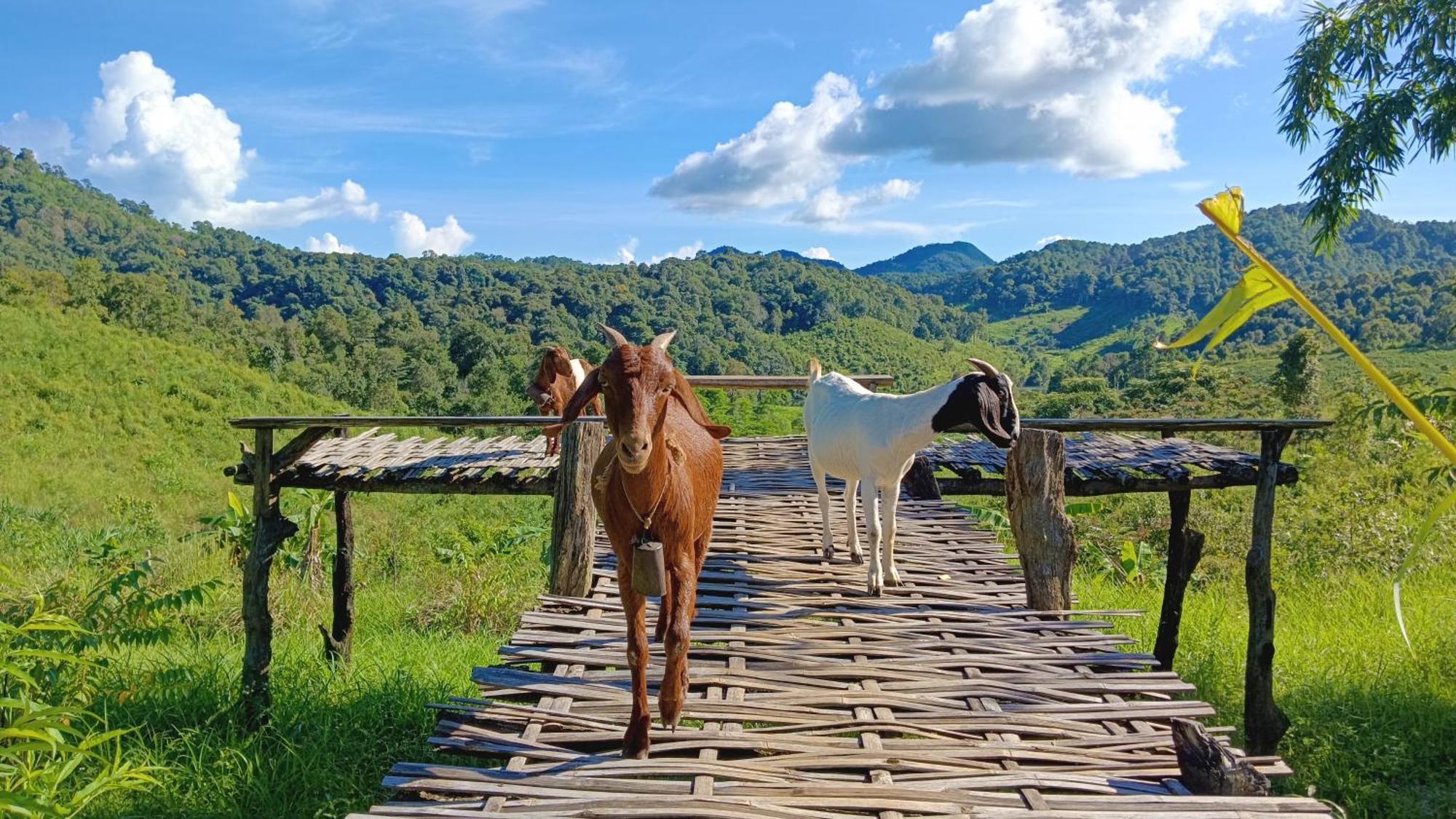 ไร่นิธิสุนทร Nithisoonthon Farmstay Mae Hong Son Exteriér fotografie