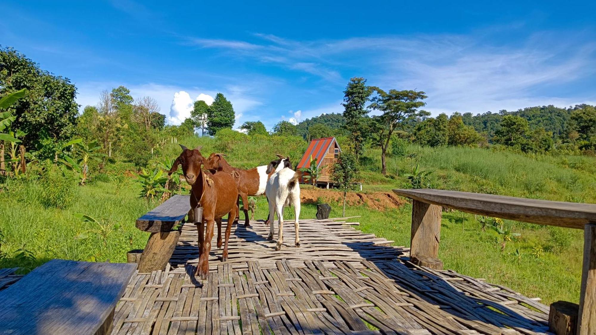 ไร่นิธิสุนทร Nithisoonthon Farmstay Mae Hong Son Exteriér fotografie