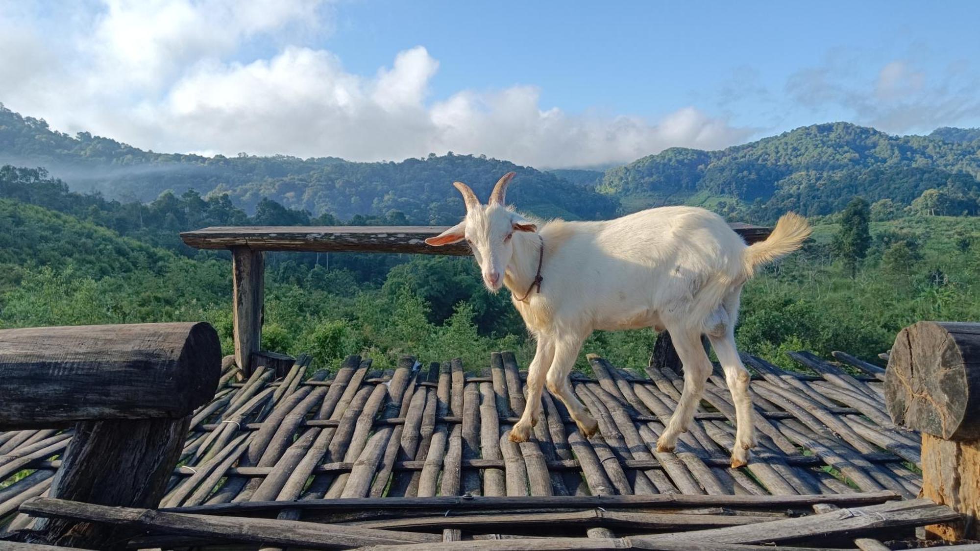 ไร่นิธิสุนทร Nithisoonthon Farmstay Mae Hong Son Exteriér fotografie
