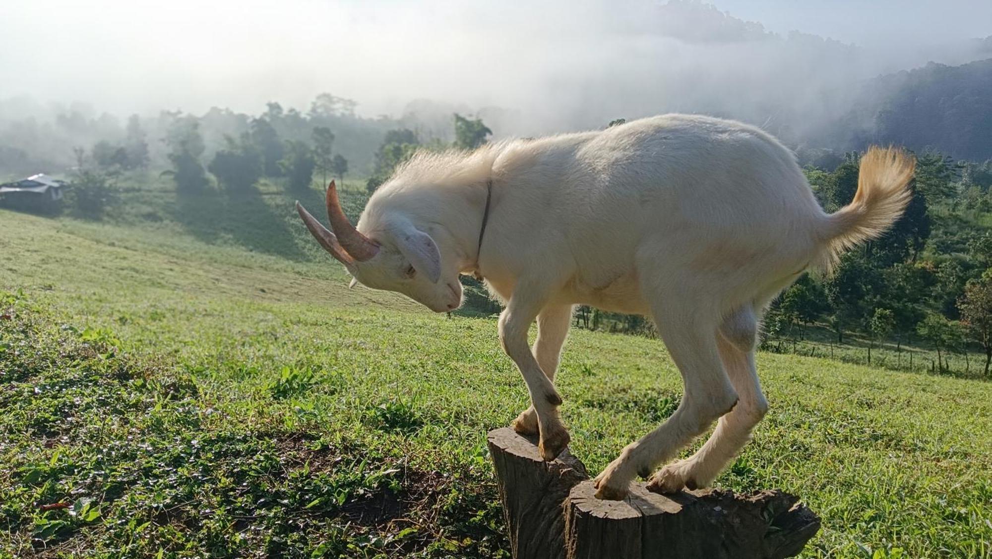 ไร่นิธิสุนทร Nithisoonthon Farmstay Mae Hong Son Exteriér fotografie
