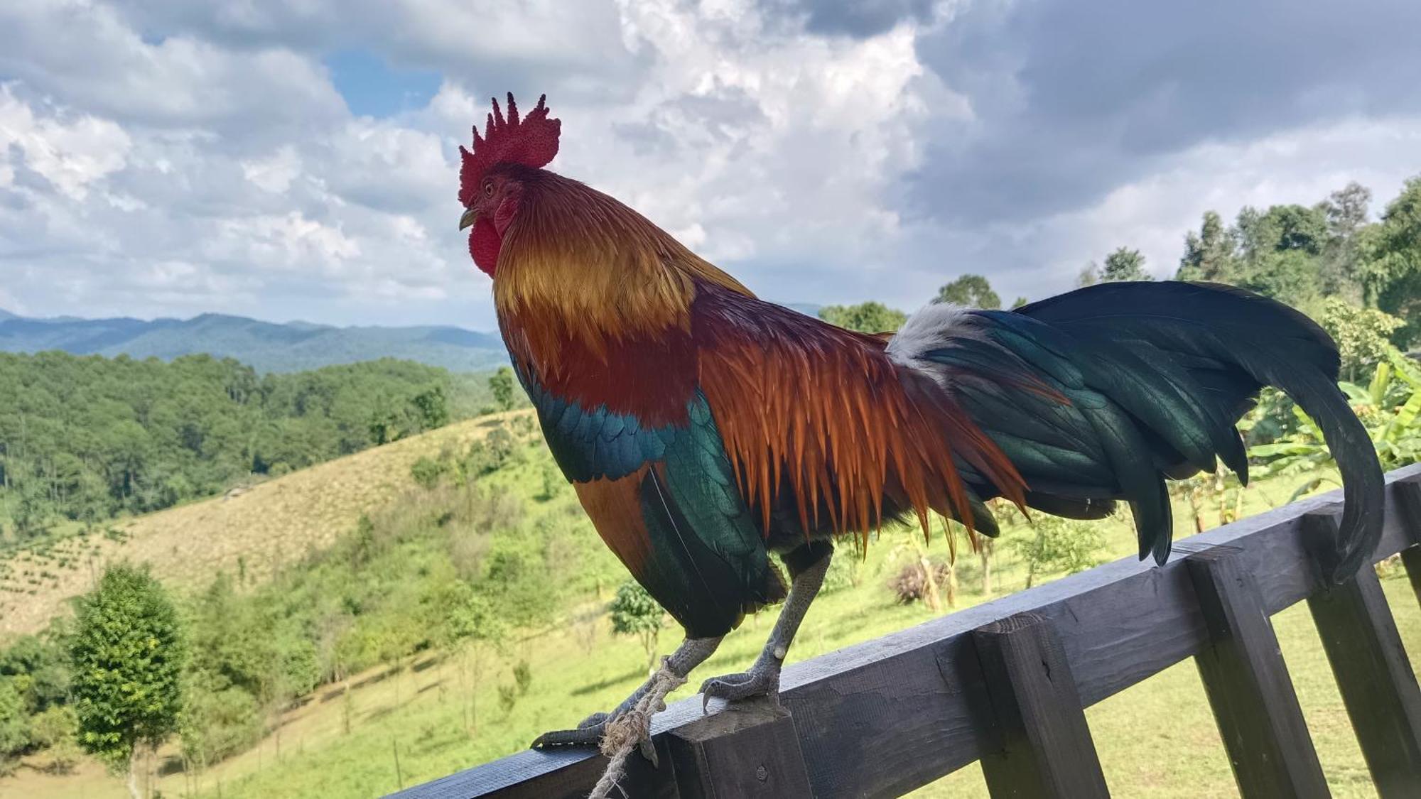 ไร่นิธิสุนทร Nithisoonthon Farmstay Mae Hong Son Exteriér fotografie