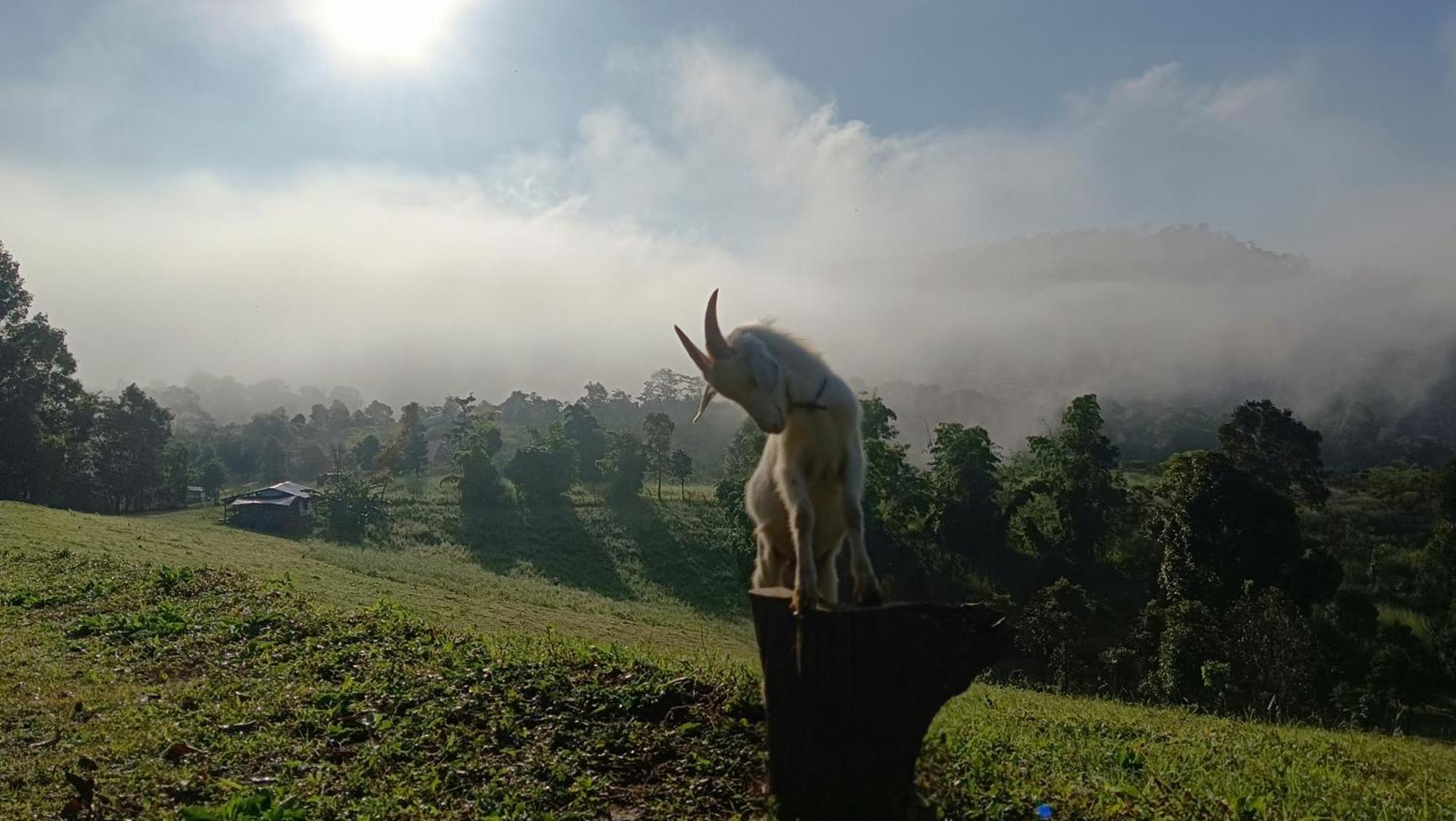 ไร่นิธิสุนทร Nithisoonthon Farmstay Mae Hong Son Exteriér fotografie