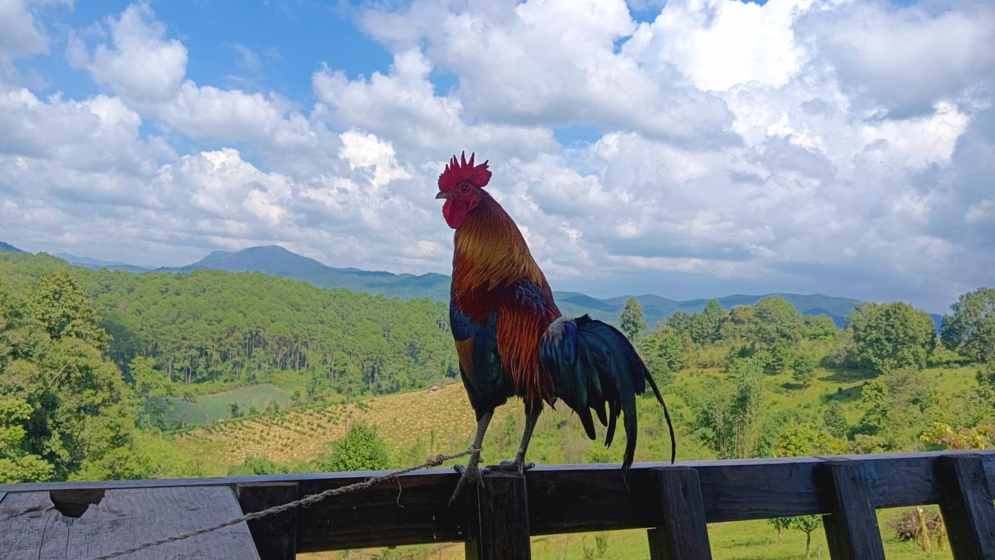 ไร่นิธิสุนทร Nithisoonthon Farmstay Mae Hong Son Exteriér fotografie