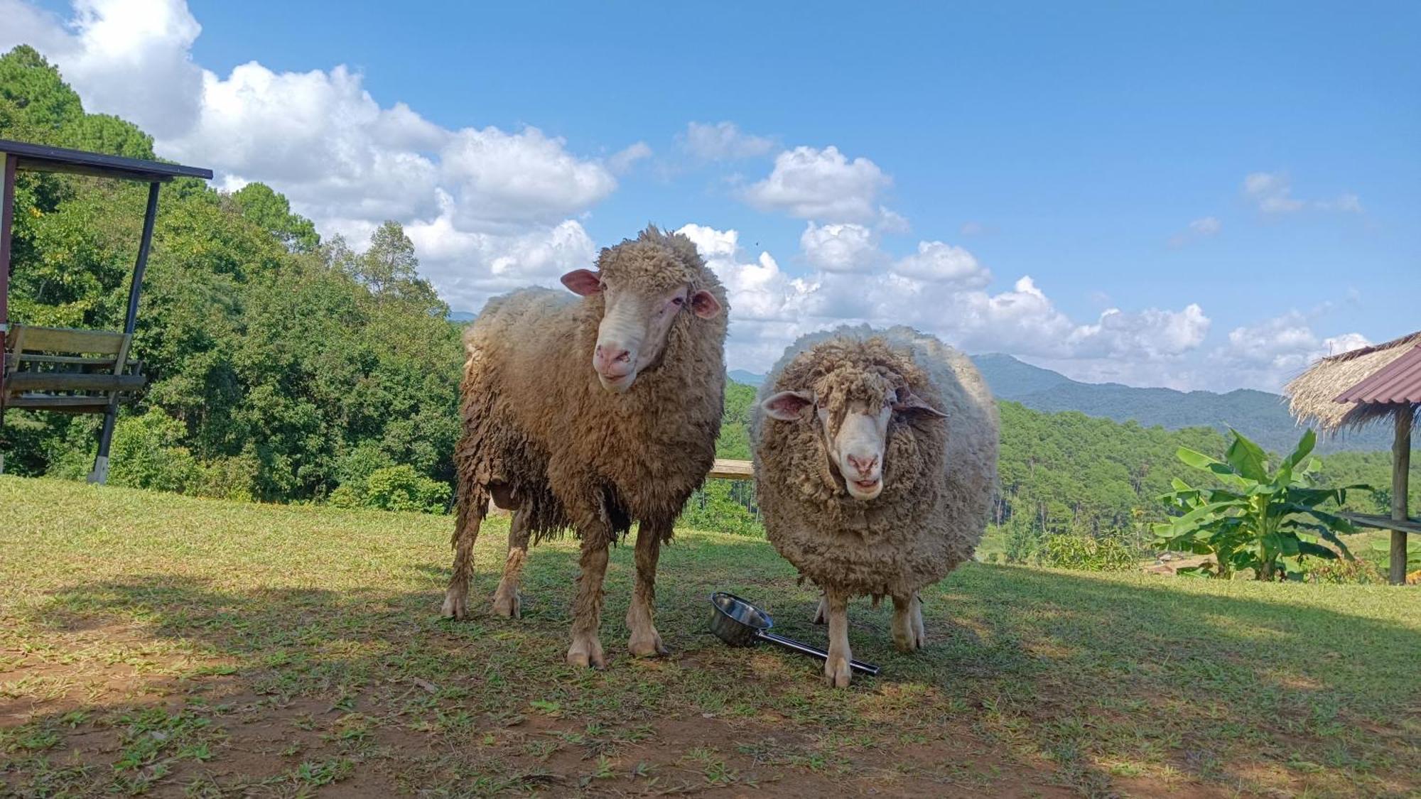 ไร่นิธิสุนทร Nithisoonthon Farmstay Mae Hong Son Exteriér fotografie